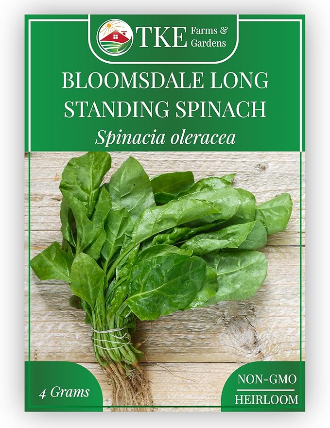 TKE Farms & Gardens - Bloomsdale Spinach Seeds for Planting, 320+ Heirloom Non-GMO Seeds, Cold-Hardy & Long Standing, Rich Flavor, Fast Growing for Spring & Fall Gardens, Indoors or Outdoors