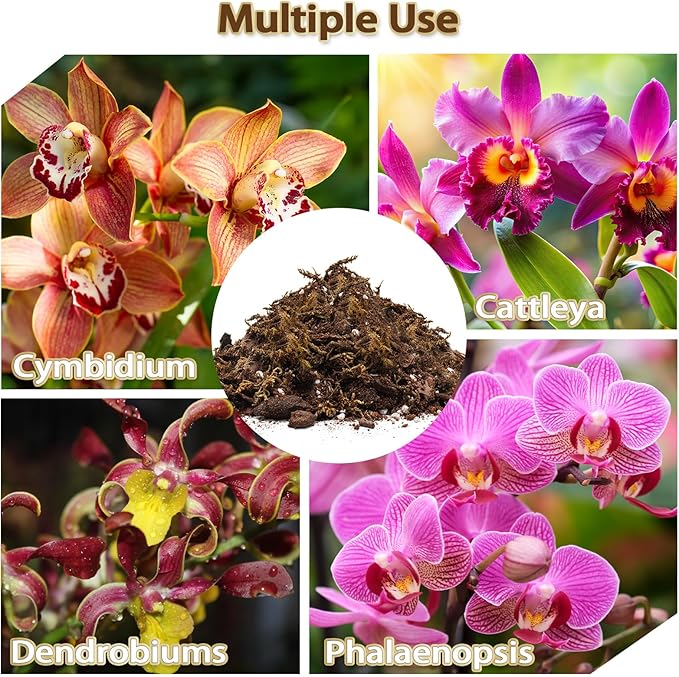 Orchid Potting Mix, Premium Orchid Soil for Repotting with Natural Pine Bark, Perlite, Coco Peat and Moss, Well-Draining Orchid Mix for Indoor Plant, Orchid, Succulents - 2QT