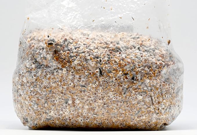 Mushroom Spawn-Lion's Mane Grain Spawn (NOT A GROW KIT)