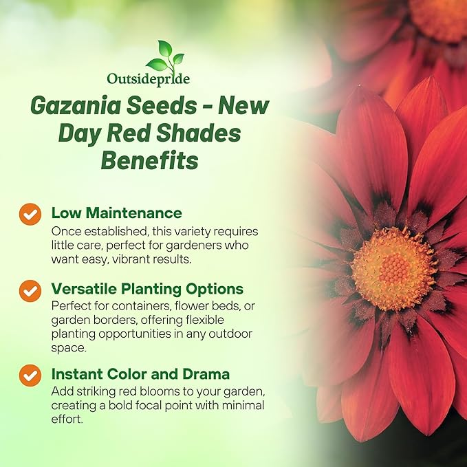 Outsidepride New Day Red Shades Gazania Seeds for Planting – 25 Pcs Perennial, Low-Maintenance, Drought-Tolerant Ground Cover Seeds for Vibrant Summer & Fall Flowers, Great for Outdoor Gardens