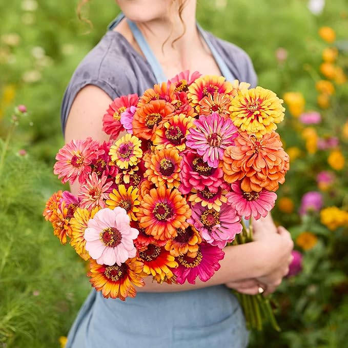 Eden Brothers Zinnia Seeds - Carrousel Mixed, Non-GMO Seeds for Planting, 1 oz | Low-Maintenance Flower Seeds, Plant During Spring, Zones 3, 4, 5, 6, 7, 8, 9, 10