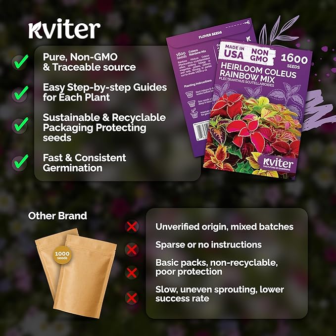 KVITER 1600 Rainbow Mixture Coleus (Plectranthus scutellarioides) Seeds – Vibrant Foliage for Shaded Gardens and Containers – Colorful Leaves, Easy to Grow, Great for Landscaping