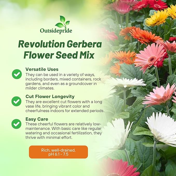 Outsidepride Revolution Select Mix Gerbera Seeds - 10 Pcs Perennial, Compact & Low Maintenance, Flower Seeds for Planting w/Vibrant Blooms, Ideal for Garden Landscaping & Cut Flower Arrangements