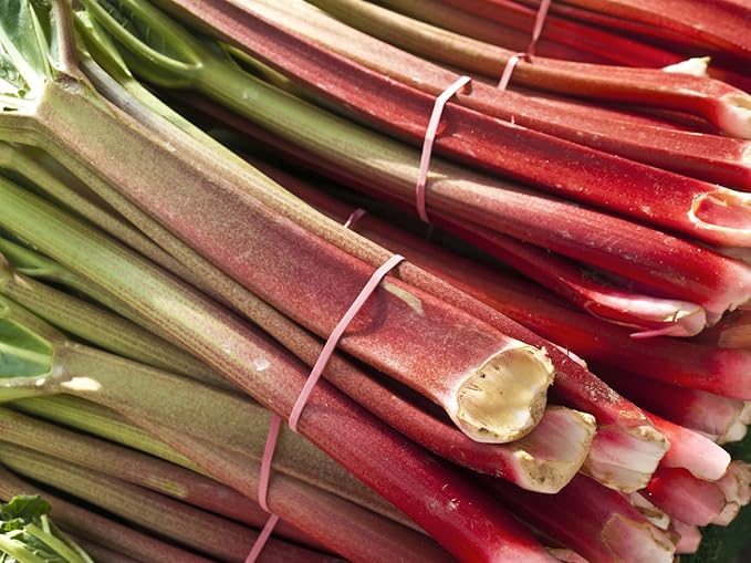 Rhubarb 'Victoria' Seeds – Perennial Vegetable (Rheum × hybridum) | Heirloom Variety, Tart Flavor, Cold-Hardy & Heavy-Yielding