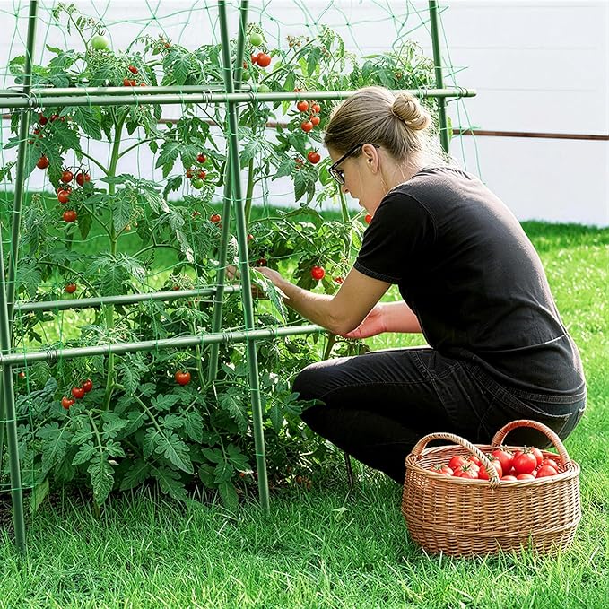 HIRALIY Cucumber Trellis for Climbing Plants Outdoor, 4ft Tall Heavy Duty Metal Garden Arch Trellis, Rustproof Plant Support Tunnel for Tomato, Grape, Bean, Raised Bed and Vegetable Gardens, Green