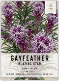 Seed Needs, Gayfeather Seeds - 500 Heirloom Seeds for Planting Liatris spicata - Perennial, Open Pollinated Wildflowers That Attracts Pollinators to The Garden (1 Pack)