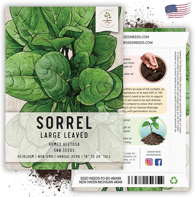 Seed Needs Large Leaf Sorrel Seeds for Planting - Heirloom Non-GMO & Untreated Medicinal or Culinary Herb - Grow a Home Grown Outdoor Garden (5 Packs)