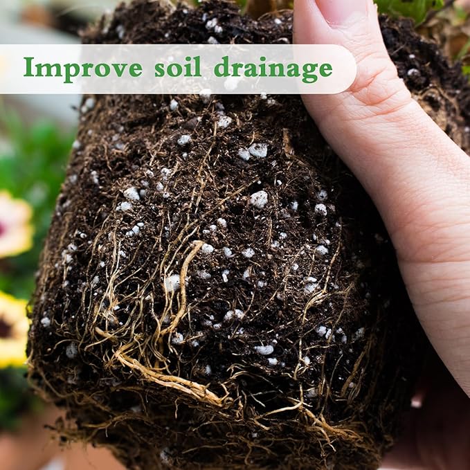 Perlite, 8QT Premium Organic Perlite for Plants, Enhances Soil Drainage and Aeration, Perfect Perlite for Plants Indoor & Outdoor, Horticultural Perlite for Gardening, Perfect for Potting Mixes