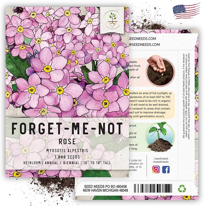 Seed Needs Pink Forget Me Not Seeds for Planting Myosotis Flowers - Heirloom & Open Pollinated Wildflowers to Plant an Outdoor Butterfly Garden to Attract Pollinators (2 Packs)