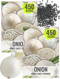 Seed Needs Onion Seeds for Planting White Sweet Spanish Long Day Onions - Non-GMO Heirloom & Untreated Vegetable Seeds to Plant an Outdoor Home Grown Veggie Garden (2 Packs)