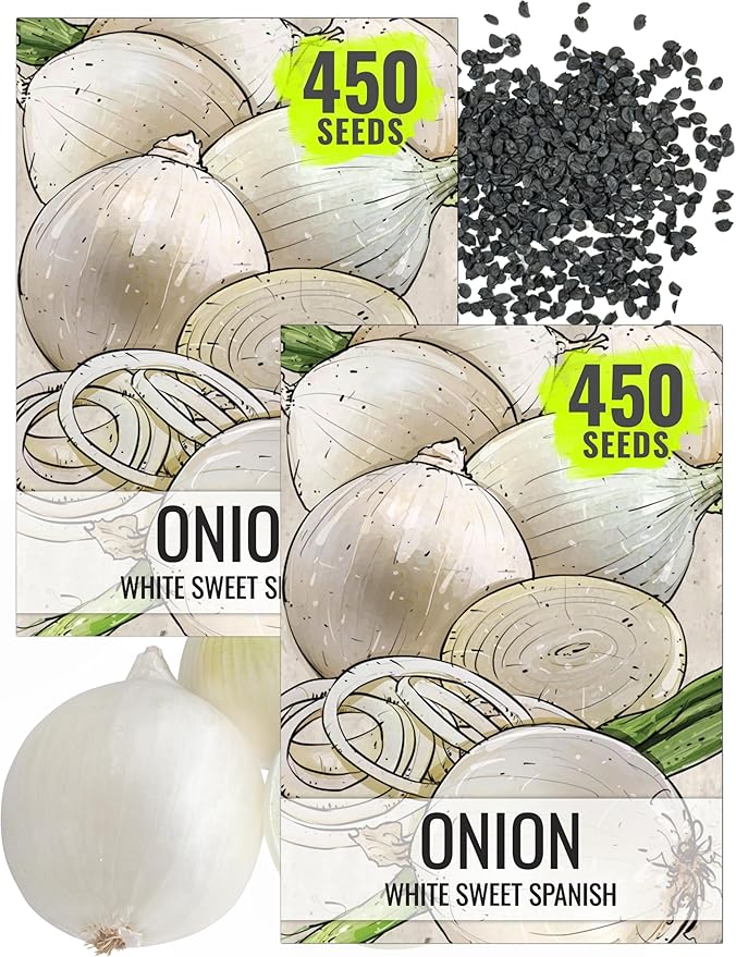 Seed Needs Onion Seeds for Planting White Sweet Spanish Long Day Onions - Non-GMO Heirloom & Untreated Vegetable Seeds to Plant an Outdoor Home Grown Veggie Garden (2 Packs)
