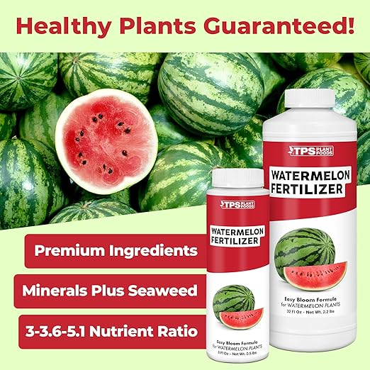 Watermelon Fertilizer – Liquid Plant Food for Bigger Melons, Vigorous Vines & Stronger Root Development, 32 oz