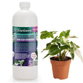 𝐏𝐑𝐎𝐅𝐄𝐒𝐒𝐈𝐎𝐍𝐀𝐋 Liquid Silica Plant Supplement - 32oz - ALBO VARIEGATA Liquid Silica Boost Fertilizer - Stronger Stems & Healthy Leaves for Indoor & Outdoor Plants (Makes 180 Gallons)
