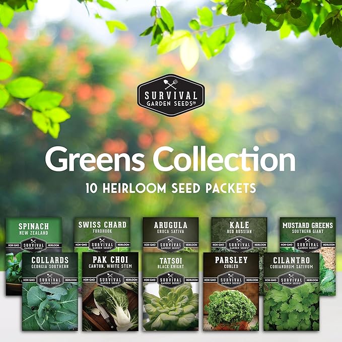 10 Power Greens Seed Collection – Heirloom Collards, Mustard, Swiss Chard, Spinach, Kale, Tatsoi, Pak Choi & More for Fall & Spring Planting | Survival Garden Seeds