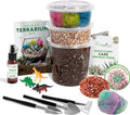 Terrarium Kit – DIY Terrarium Kit for Succulents, Cacti & Air Plants, Includes Premium Soil, Moss, Pebbles & Tools, Plant Starter Kit, Closed Terrarium Supplies, Handmade in USA