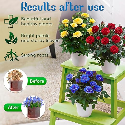 All-Purpose Liquid Plant Food Fertilizer (12-Pack) | Indoor House Plants & Outdoor Flowers | Bloom Booster Nutrient Solution for Vibrant Growth & Strong Roots | Made in The USA