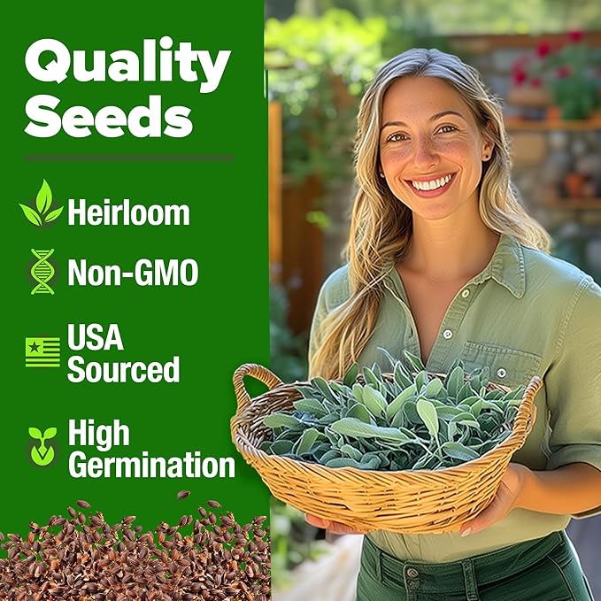 HOME GROWN Genovese Basil Seeds 2 Pack 3500 & Peppermint 4,740 & White Sage 646 & Lemon Balm 806