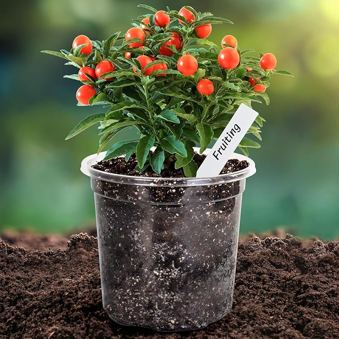 Bonviee 20 Packs 6.7 Inch Clear Nursery Pots, 1 Gallon Plastic Seedling Pots with Drainage Holes, Planters for Indoor Plants and Small Seed Starters, High Transparency Flower Pots with 10 Plant Labels
