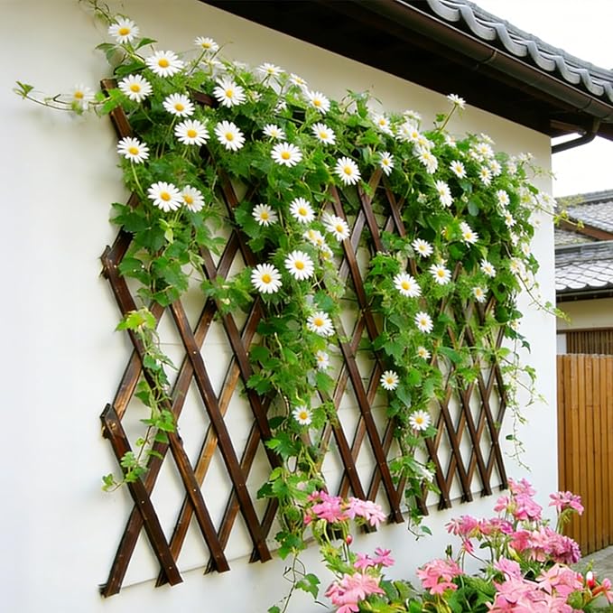 Expandable Garden Trellis, 38" x 89" Large Wooden Lattice Fence Wall Panel Lattice Trellis for Climbing Plants Outdoor Ivy Vine Rose Clematis for Garden Patio Room Decor (1)