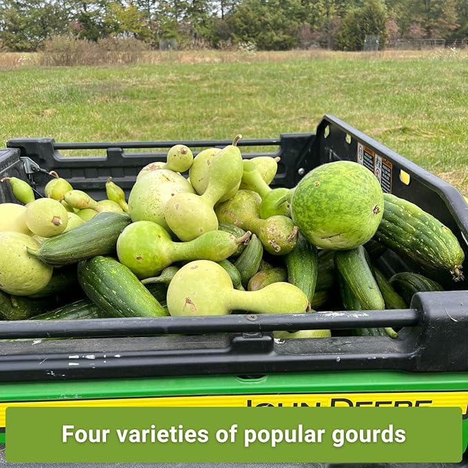 Sow Right Seeds - Gourd Seed Collection for Planting - Packets of Decorative, Luffa, Dipper & Bottle Gourds - Grow Your Own Crafts, Home Decor & More - Non-GMO Heirloom Packets with Instructions
