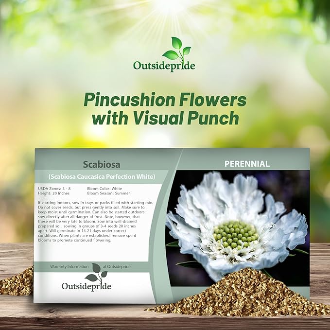 Outsidepride Perfection White Scabiosa Seeds - 200 Pcs Perennial Pincushion Flower Seeds That Attract Pollinators, Upright & Neat Growth Habit for Small Gardens, Borders, Containers, & Xeriscaping