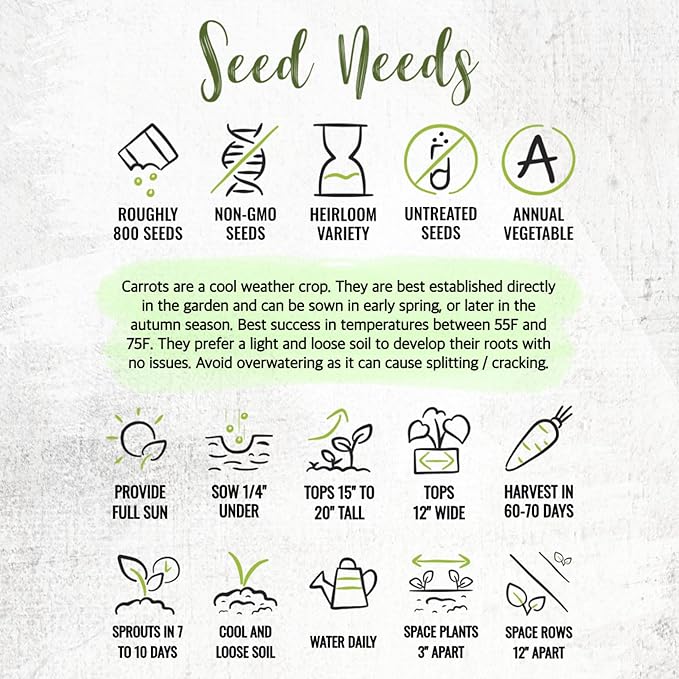 Seed Needs Carrot Seeds for Planting Paris Market Carrots - Non-GMO Heirloom & Untreated Annual Cool Weather Crops - Grow a Home Grown Outdoor Vegetable Garden (2 Packs)