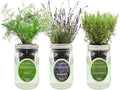 Hydroponic Herb Growing Kit Set, Self-Watering Mason Jar Herb Garden Starter Kit Indoor, New Christmas Gift for Mom (Dill, Lavender & Rosemary)