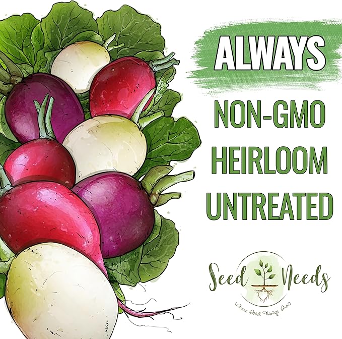 Seed Needs Radish Seeds for Planting Easter Egg Radishes - Non-GMO Heirloom & Untreated - Grow a Home Grown Vegetable Garden - Cool Weather Crops (5 Packs)