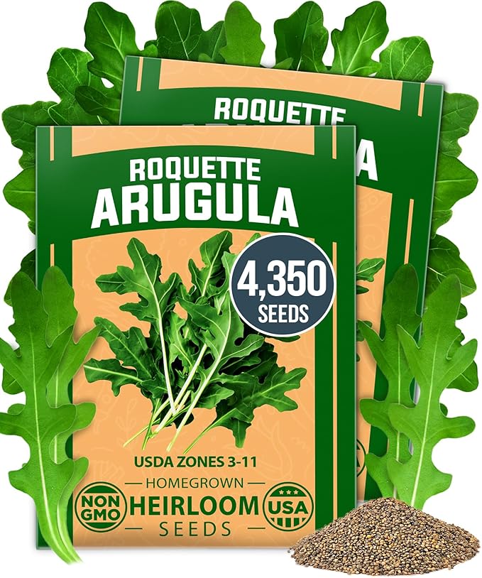 HOME GROWN Romaine Lettuce Seeds, Paris Island Bulk 7000 & Arugula 4350 & Bloomsdale Spinach 704
