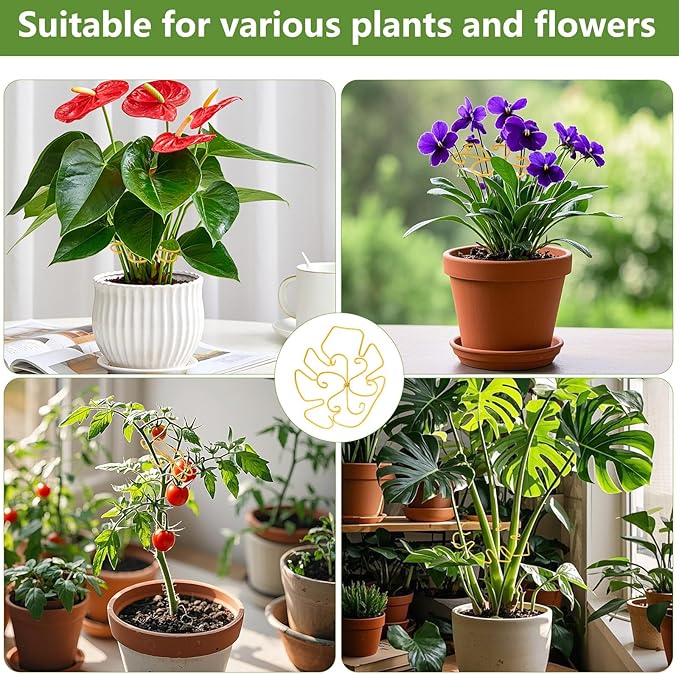 YBB 10Pcs Monstera Plant Stem Support, 2 Patterns Iron Monstera Stabilizer Plant Stem Holder Support Structures for Indoor Climbing Plants