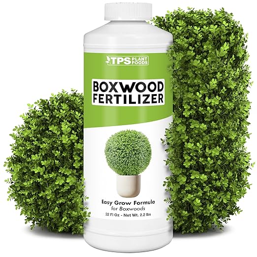 Boxwood Fertilizer – Liquid Plant Food for Dense Growth, Rich Green Foliage, & Stronger Roots, 32 oz