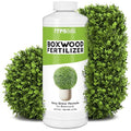 Boxwood Fertilizer – Liquid Plant Food for Dense Growth, Rich Green Foliage, & Stronger Roots, 32 oz