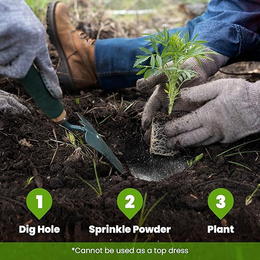 Big Foot Probiotic Root Boost Water Soluble Powder For Established Plants and Transplants - GROW ROOT SIZE, Increase Nitrogen, Grow New Plants from Cuttings, Pea Inoculant - 10 oz