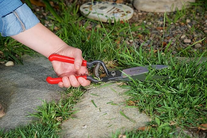 Corona GS 6750D ClassicCUT Grass Shear, Natural, 4 1/2 in