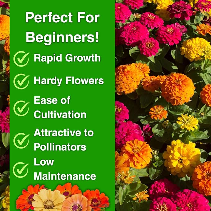 1200+ Crazy Blend Zinnia Seeds for Planting, Heat & Drought Tolerant, Zinnia Elegans Lilliput Seeds, Garden Cut Flower Mix, Non GMO, Untreated Mixed Color Zinnia Flowers