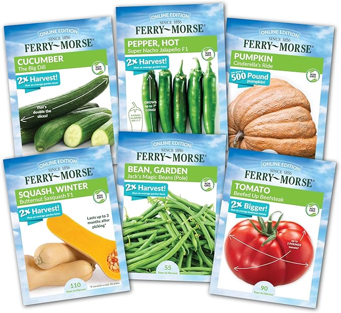 Ferry-Morse Colossal Vegetable Non-GMO Seed Variety Pack - 6 Pack