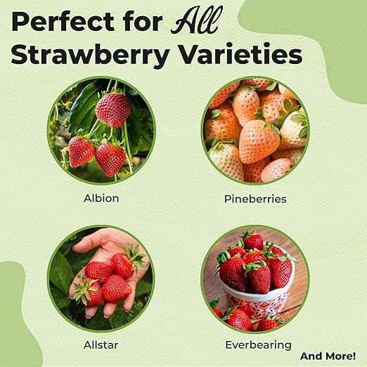 Perfect Plants Organic Strawberry Potting Mix | Organic Premium Mix | Use with Strawberry's, Pineberry's, or Other Fruit Plants (4qt)