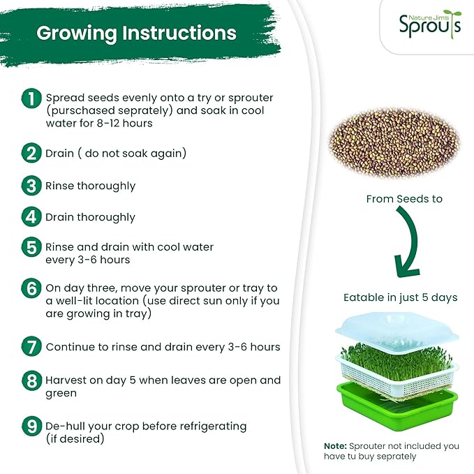 Nature Jims Sprouts Clover Seeds –Organic Non-GMO Sprouting Seeds for Fresh, Nutrient-Rich Seed, Packed with Vitamins, Minerals & Fiber, Ideal for Growing Sprouts and Clover Seed, Reseable Bag, 16 oz