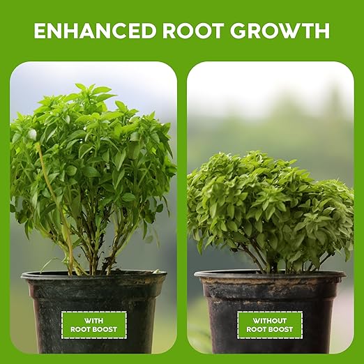 Big Foot Probiotic Root Boost Water Soluble Powder For Established Plants and Transplants - GROW ROOT SIZE, Increase Nitrogen, Grow New Plants from Cuttings, Pea Inoculant - 2 Ounces