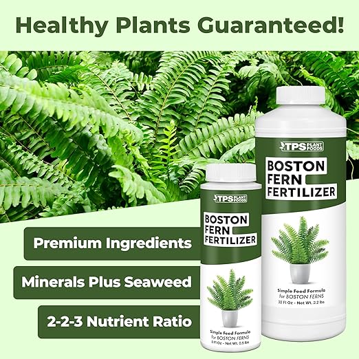 Boston Fern Fertilizer – Liquid Plant Food for Fuller Fronds, Rich Green Color & Healthy New Growth, 32 oz