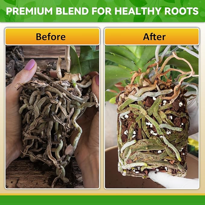 Riare 4QT Orchid Potting Mix, Natural Orchid Bark Potting Mix Soil Medium with Pine Bark and Perlite, Premium Orchid Repotting Kit for Phalaenopsis Dendrobiums, Enhanced Drainage & Root Expansion