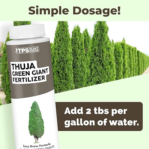 Thuja Green Giant Fertilizer – Liquid Plant Food for Faster Growth, Fuller Green Foliage & Stronger Roots, 8 oz