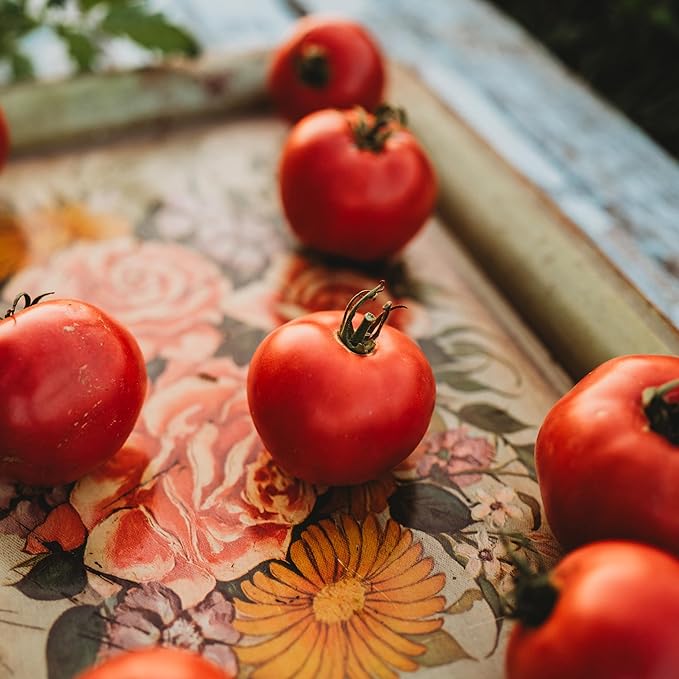 Rose de Berne Heirloom Tomato - 50 Seeds - Rare Heirloom Pink Tomato Variety, Non-GMO Vegetable Seeds for Planting in The Home Garden, Thresh Seed Company