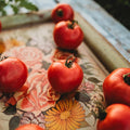 Rose de Berne Heirloom Tomato - 50 Seeds - Rare Heirloom Pink Tomato Variety, Non-GMO Vegetable Seeds for Planting in The Home Garden, Thresh Seed Company