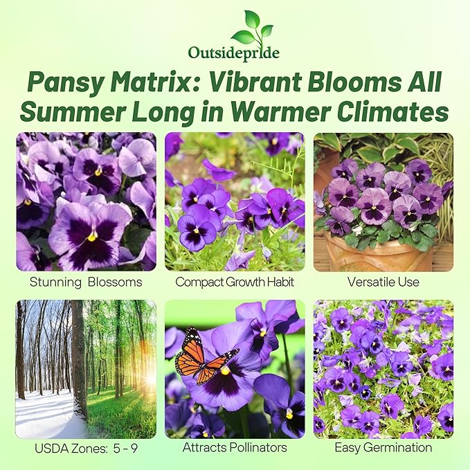 Outsidepride Ocean Pansy Seeds for Planting - 50 Pcs. Biennal, Cold-Hardy & Pollinator Friendly Flowers with Fragrant Blooms for Garden Beds, Borders & Container Displays