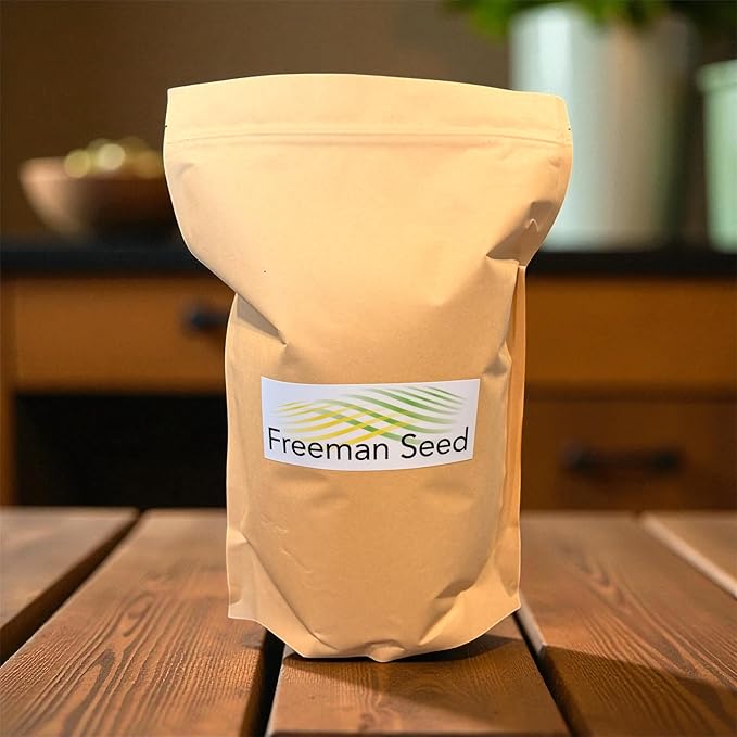 Guardian Winter Rye Grass Seed by Freeman Seed – Fast-Growing Winter Cover Crop for Soil Health, Erosion Control & Food Plots – Cold-Tolerant, Easy Germination (2 lb)