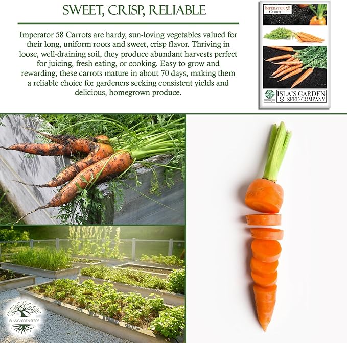 Imperator 58 Carrot Seeds (Daucus carota) – 500+ Non-GMO & Heirloom Seeds, Long and Sweet Carrots for Juicing, Fresh Eating, and Cooking, by Isla’s Garden Seeds, Great Gardening Gift