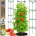 68" Tall Tomato Cage 3 Pack Trellis Stakes - Heavy Duty Plant Support Structures for Vegetables, Tomatoes & Climbing Plants