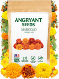 Marigold Sparky Mix Seeds - 999+ Heirloom Flower Seeds for Planting Indoors and Outdoors in Your Home Garden - Non GMO, USA Grown - Annual, Open Pollinated Wildflower Seeds Bulk for Companion Planting