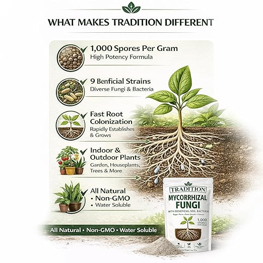 Tradition Mycorrhizal Fungi with Beneficial Soil Bacteria – 1,000 Spores per Gram – Water Soluble Root Inoculant for Houseplants, Vegetables, Trees & Garden Soil – 4 oz
